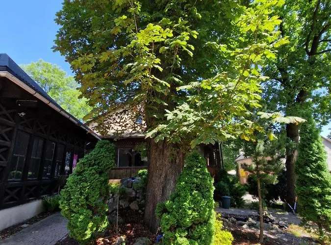 بيت ضيافة Gosciniec Blogocice