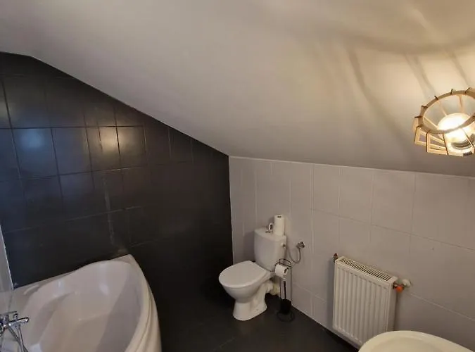 Gosciniec Blogocice بيت ضيافة تشيشين